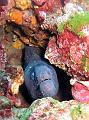 IMG_4473 r1